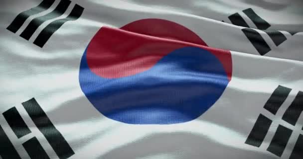 Corea Del Sur Bandera Nacional Ondeando Fondo Fondo Animación — Vídeos de Stock