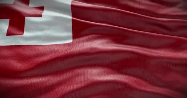 Tonga Nationalflagge Schwenkend Hintergrund Hintergrund Animation — Stockvideo