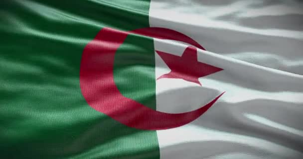 Αλγέρι Σημαία Φόντο Εθνική Σημαία Της Χώρας Που Ανεμίζει — Αρχείο Βίντεο