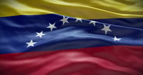 Bandera Del País Venezuela Ondeando Fondo Fondo Animación — Vídeos de Stock