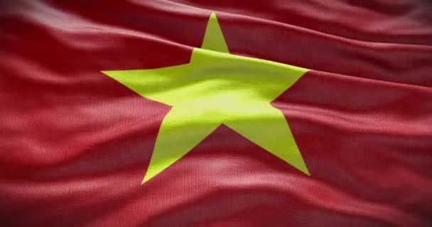 Vietnam País Bandera Ondeando Fondo Fondo Animación — Vídeos de Stock