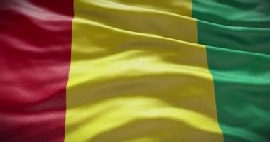 Gine bayrağı geçmişi. Ulusal bayrak sallanıyor.