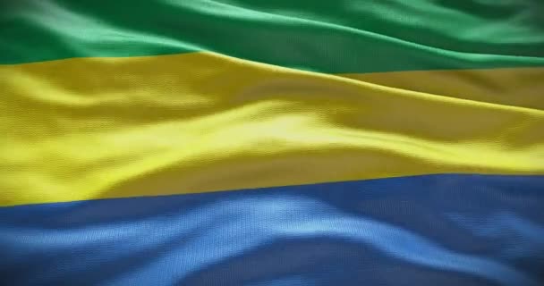 Fond Drapeau Gabonais Drapeau National Pays Agitant — Video