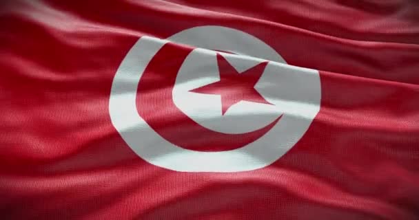 튀니지 국기흔들기 애니메이션 — 비디오