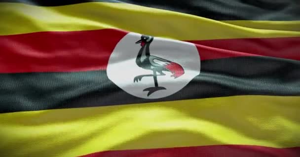Uganda Bandiera Nazionale Sventolando Sfondo Sfondo Animazione — Video Stock