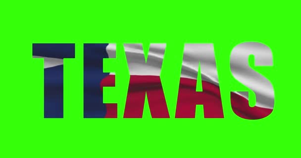 Texas Nom État Sur Animation Écran Vert Drapeau État Américain — Video