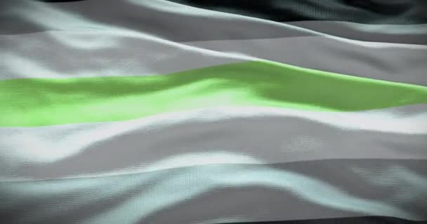 Símbolo Gênero Fundo Bandeira Bandeira Ondulada — Vídeo de Stock