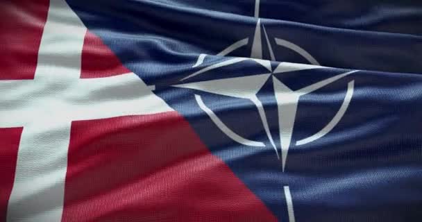 New York Amerika Serikat Juni 2022 Hubungan Denmark Dan Nato — Stok Video