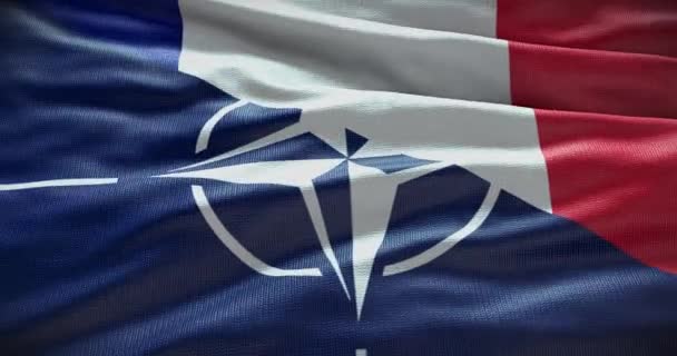 2022 프랑스와 Nato 정치와 Waving Flag Background Illustrative Editorial — 비디오