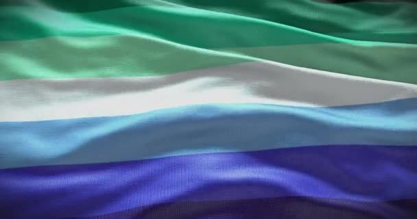 Symbol Vlajky Gayové Mávání Pozadí Pozadí — Stock video