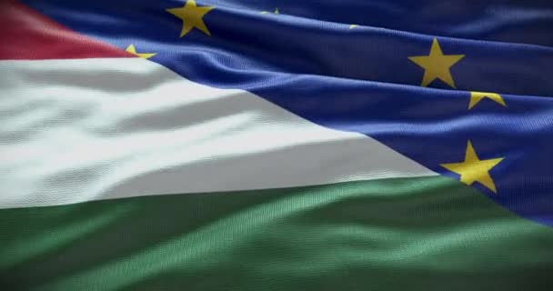 Угорщина Європейський Союз Відносини Між Урядом Країни — стокове відео