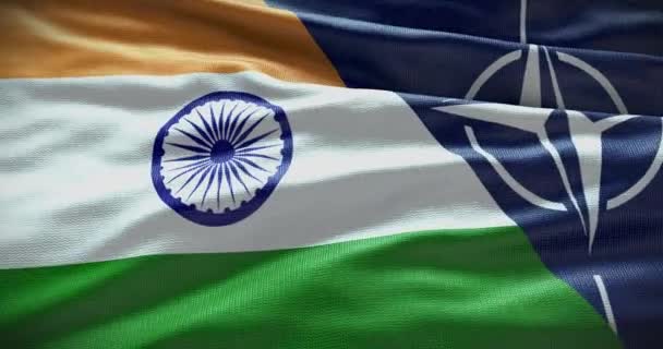 New York Usa June 2022 India Nato Relationship Politics Diplomacy — Stock Video