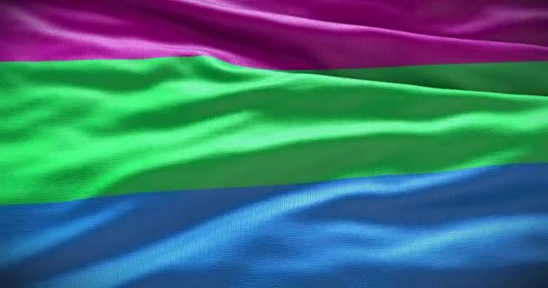 Polysexual Symbol Flagi Tło Machanie — Wideo stockowe