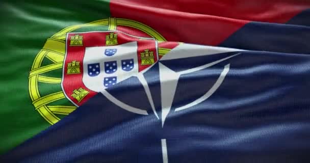 New York États Unis Juin 2022 Relations Entre Portugal Otan — Video