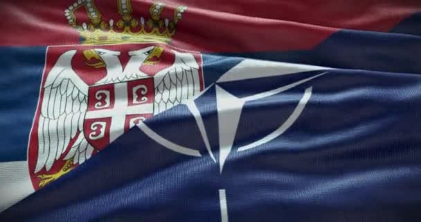 New York Usa June 2022 Serbia Nato Relationship Politics Diplomacy — Stock Video