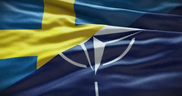 2022 스웨덴 Nato 정치와 Waving Flag Background Illustrative Editorial — 비디오