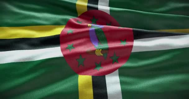 Dominika Národní Vlajka Mává Pozadí Ploché Pozadí Kopírovacím Prostorem — Stock video