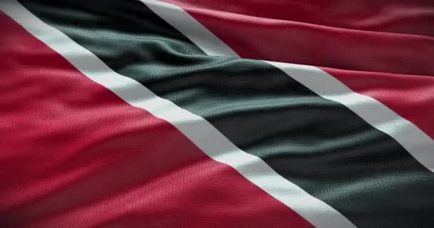 Trinidad Tobago Ulusal Bayrağını Sallıyor Kopyalama Alanı Olan Düz Arkaplan — Stok video