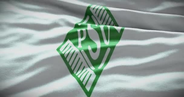 バルセロナ スペイン 9月2022 Psv Schwerinサッカークラブ サッカーチームのロゴ ループアニメーション イラスト編集 — ストック動画