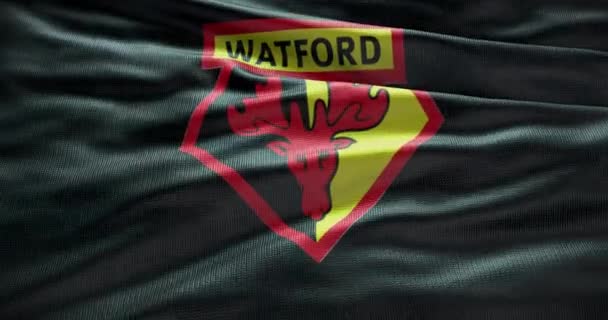 Barcelona Španělsko Září 2022 Fotbalový Klub Watford Logo Fotbalového Týmu — Stock video