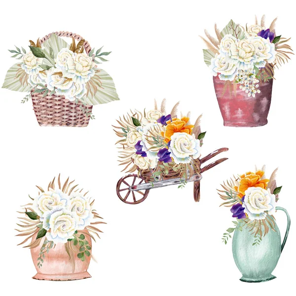 Aquarela Pampass Buquês Grama Floral Vasos Coloridos Perfeito Para Usar — Fotografia de Stock