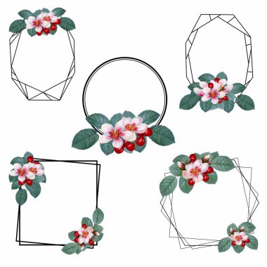 Suluboya kiraz çiçekli kompozisyonlar, internette ya da basılı olarak kullanmak için mükemmel