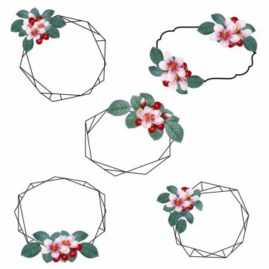 Suluboya kiraz çiçekli kompozisyonlar, internette ya da basılı olarak kullanmak için mükemmel