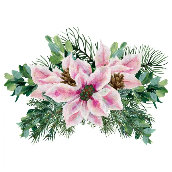 Watercolor Christmas Poinsettia Composition Perfect Use Web Print — Fotografia de Stock