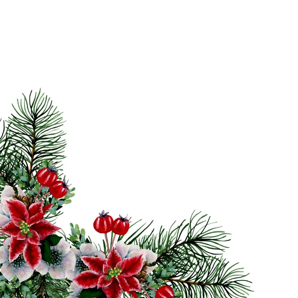 Watercolor Christmas Poinsettia Composition Perfect Use Web Print — 图库照片