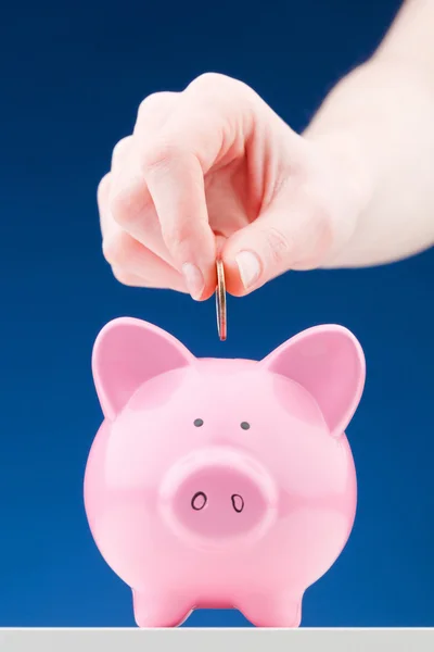 Investment or Savings Concept with a Piggy Bank