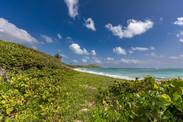 Marin Martinik Fwi Beach Cape Macre — Stock fotografie