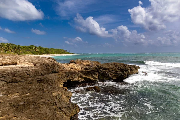 Marin Martinica Fwi Playa Del Cabo Macre —  Fotos de Stock