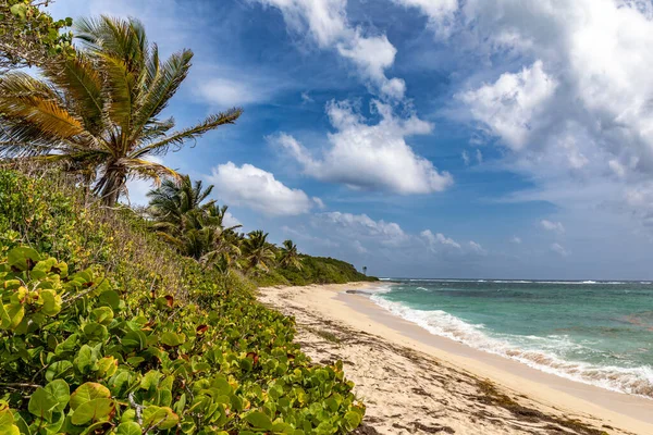 Marin Martinik Fwi Beach Cape Macre — Stock fotografie