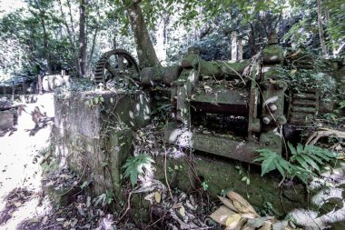 Anse Couleuvre çiftliğinin kalıntıları - Le Precheur, Martinik Fransız Antilleri