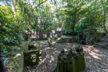 Anse Couleuvre çiftliğinin kalıntıları - Le Precheur, Martinik Fransız Antilleri
