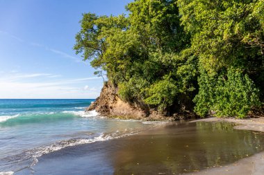 Anse Couleuvre Plajı - Le Precheur, Martinik Fransız Antilleri