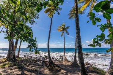 Anse Couleuvre Plajı - Le Precheur, Martinik Fransız Antilleri