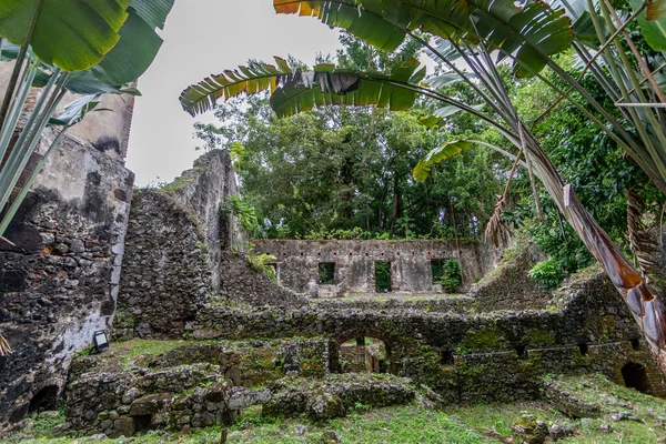 Ruinas Plantación Pagerie Les Trois Ilets Martinica Antillas Francesas —  Fotos de Stock