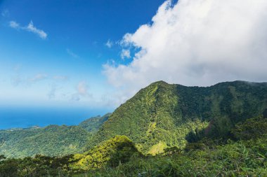 Pelee Dağı 'nın tepesine yürü, Martinik, Fransız Antilleri