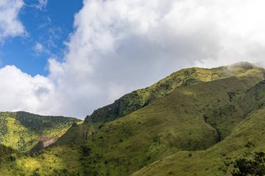 Pelee Dağı 'nın tepesine yürü, Martinik, Fransız Antilleri