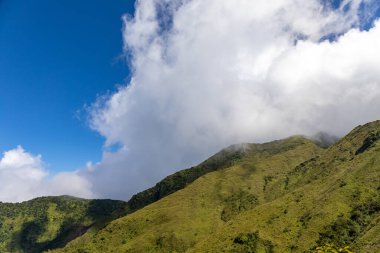 Pelee Dağı 'nın tepesine yürü, Martinik, Fransız Antilleri