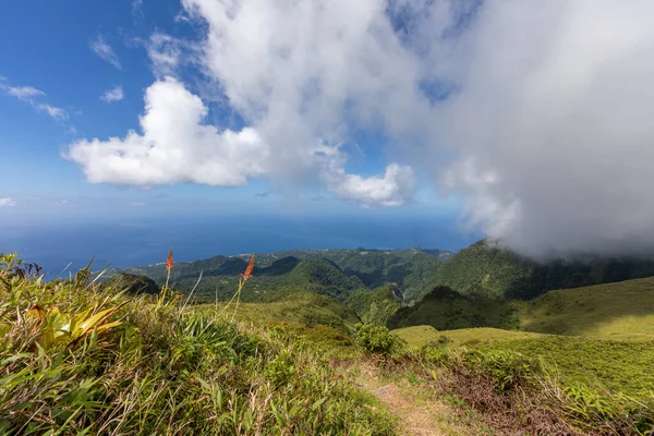 Caminata Cima Del Monte Pelee Martinica Antillas Francesas — Foto de Stock