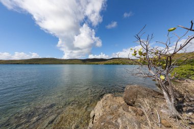 Trinite, Martinique 'deki Galion Körfezi, Fransız Antilleri