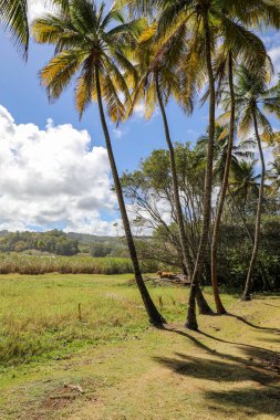 Sainte-Marie, Martinik, Fransız Antilleri