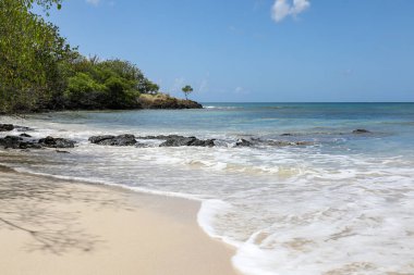 Small Salines beach, Sainte-Anne, Martinique, French Antilles