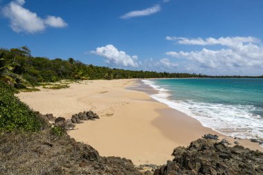 Salines Sahili, Sainte-Anne, Martinique, Fransız Antilleri