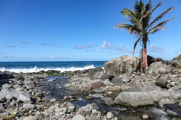 River Nord Plage Beach Macouba Martinique French Antilles — Stockfoto