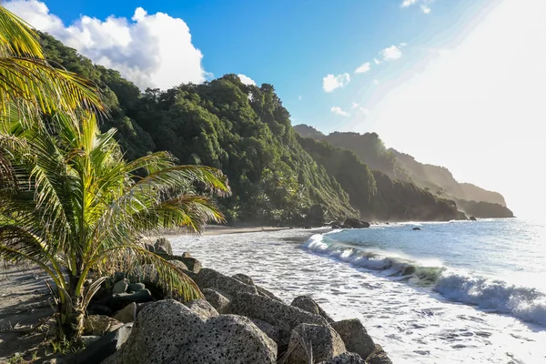Grand-Riviere 'deki Sinai plajı, Martinik, Fransız Antilleri