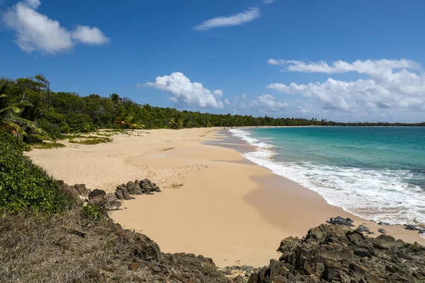 Salines Sahili, Sainte-Anne, Martinique, Fransız Antilleri