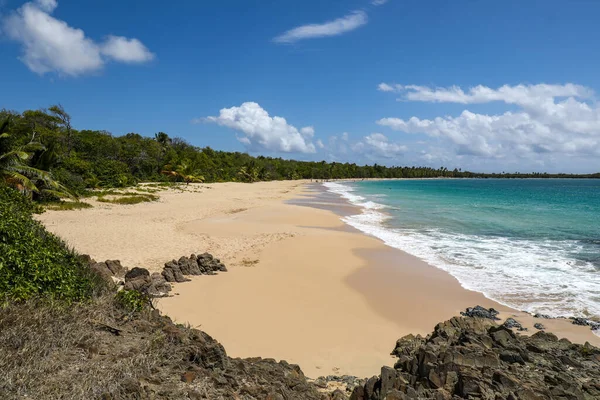 Salines Beach Sainte Anne Martinik Francouzské Antily — Stock fotografie